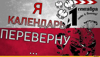 Кружка \"прикольные цитаты учителей Голову ты дома не забыл\", 330 мл -  купить по доступным ценам в интернет-магазине OZON (844811282)