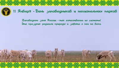 Международный день «спасибо» 11 января 2019 года: что это за праздник, в  чем его смысл, как его нужно праздновать, традиции, история, интересные  факты и поздравления