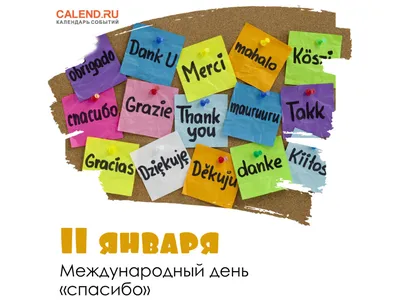 11 января, вторник: международный день «спасибо», день заповедников и  национальных парков России, страшный день в народном календаре, рецепт дня  — картошечка / Ежедневник / Журнал Calend.ru