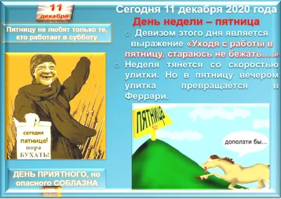 11 Января — День заповедников и национальных парков! — Заповедник Черные  земли — Официальный сайт