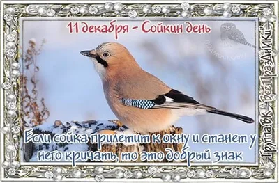 Какой сегодня праздник — 11 января: по церковному и народному календарю