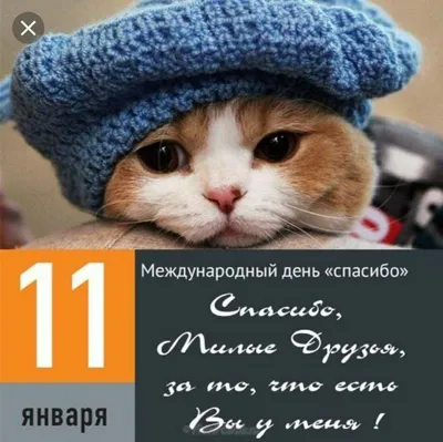 Картинки с днем спасибо 11 января