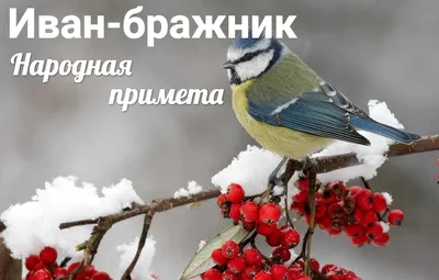 В Азербайджане почтили память жертв Черного января. 20 января 1990 года,  двадцать шесть тысяч советских солдат вошли в Баку, поддавив народные  протесты. | commonspace.eu