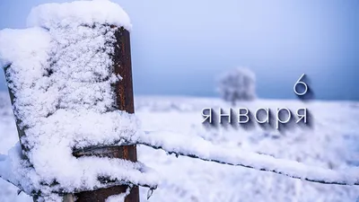 6 декабря: какой сегодня праздник, Обозреватель