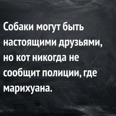 Афоризмы / смешные картинки и другие приколы: комиксы, гиф анимация, видео,  лучший интеллектуальный юмор.