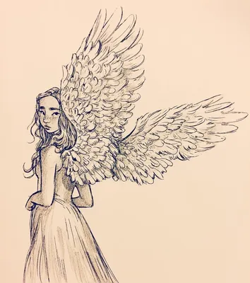 Angel | Пикабу