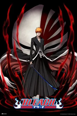 Bleach Poster Anime Merch Manga Ichigo Merchandise Series Comic Art Action  Character Swords Ichigo Kurosaki Soul Reaper Viz Media Japanese Animation  Cool Wall Decor Art Print Poster 12x18 : Amazon.ca: Home