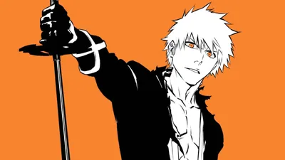 Why was the Bleach anime cancelled? - Dexerto