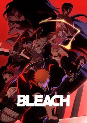 Laminated Bleach Poster Anime Merch Manga Group Collage Merchandise Series  Comic Art Action Character Swords Ichigo Kurosaki Soul Reaper Viz Media  Japanese Animation Poster Dry Erase Sign 24x36 : Amazon.ca: Home