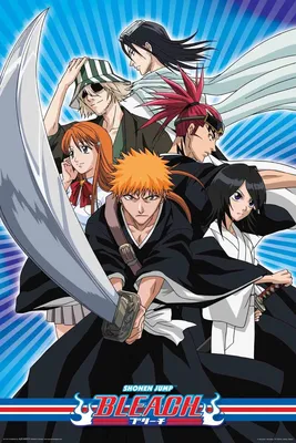 Bleach (TV Series 2004–2023) - Plot - IMDb