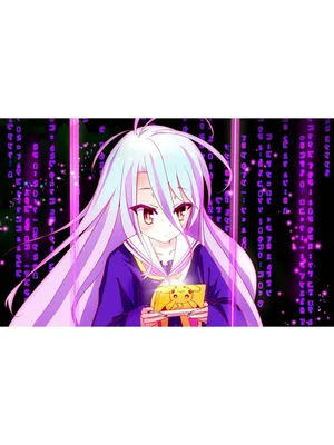 Shiro. Сиро. No Game No Life. «Нет игры — нет жизни». Дакимакура  двусторонняя. — Дарума-Ин