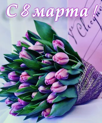 С 8 марта🌷🌸🌺💐 | ❖ АТАКА ТИТАНОВ ❖ Amino