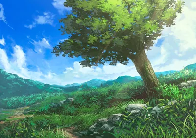 Download wallpaper summer, nature, anime, art, girl, section art in  resolution 1600x900