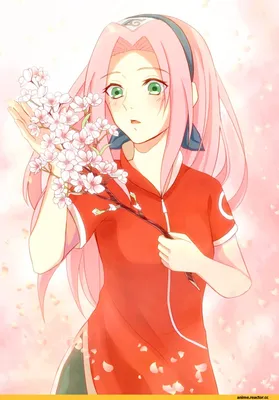 Anime sakura girl Wallpapers Download | MobCup