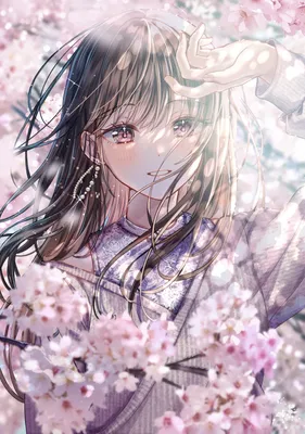 Sakura anime Wallpapers Download | MobCup