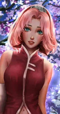 Sakura Haruno in 2023 | Anime, Naruto sasuke sakura, Naruto shippuden  characters