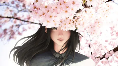 Живые обои Аниме Sakura Drop Animated Wallpaper скачать бесплатно для  windows