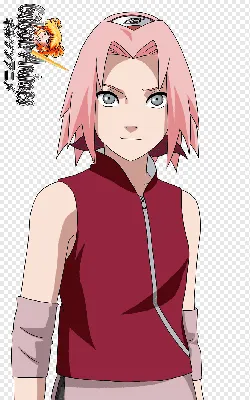 100+] Naruto Sakura Pictures | Wallpapers.com