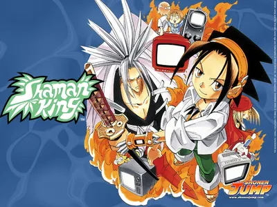 Shaman King and the power of tradition