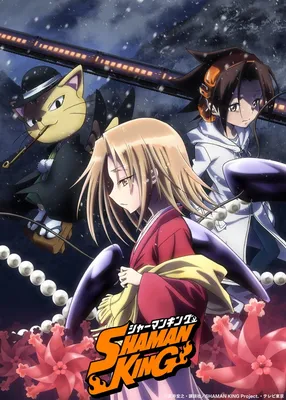 Shaman King Season 1 Review - IGN