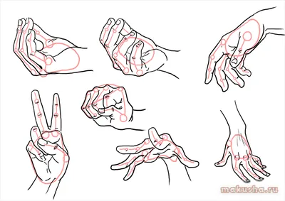 How to draw hands, Drawing tutorial, Hand drawing reference