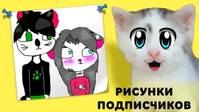 КОШКА МУРКА и РИСУНКИ ОТ ПОДПИСЧИКОВ! - YouTube