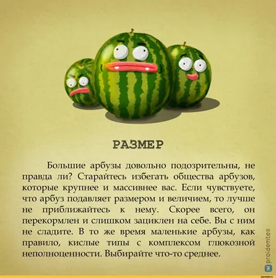 смешной арбуз иллюстрация штока. иллюстрации насчитывающей потеха - 56902489