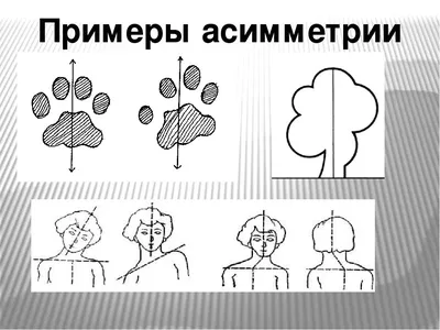 Многогранные Асимметричная Контрастная Формы С Параллельных Линий —  стоковая векторная графика и другие изображения на тему Асимметрия - iStock