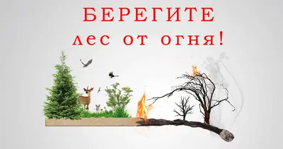 Акция «Береги лес от пожара» — Детский сад № 118 г. Тюмени