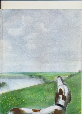 Бежин луг / Тургенев И. С. Рисунки А. Пахомова (1959 г.). Купить в Минске —  Другое Ay.by. Лот 5035854668