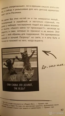 Отзыв о Книга \"Безумно счастливые. Невероятно смешные рассказы о нашей  обычной жизни\" - Дженни Лоусон | Для любителей всего нестандартного.