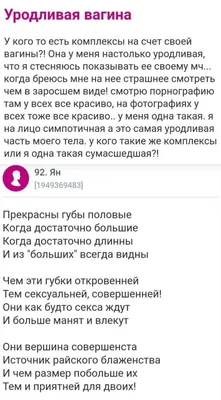 🐶 Если у вас плохой день, посмотрите на эти 10 милых фото самоедов |  Sntch.com | Дзен