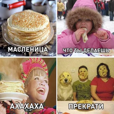 МАСЛЕНИЦА! | Memes, Lol, Animals