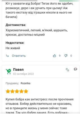 Топ красивых бобров (мой топ) | Жевательный орех | Дзен