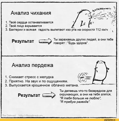 H- л * Анализ чихания ? r ^ 1. Твоё сердце останавливается 2. Твоё лицо  взрывается 3. Бактерии / картинки :: обидно же :: пердеж :: чих ::  несправедливость / смешные картинки и другие приколы: комиксы, гиф  анимация, видео, лучший интеллектуальный юмор.