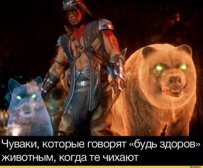 Чуваки, которые говорят «будь здоров животным, когда те чихают / Mortal  Kombat 11 :: Mortal Kombat (Мортал Комбат, Mortal Combat) :: животные ::  текст на картинке :: фэндомы / картинки, гифки, прикольные комиксы,  интересные статьи по теме.