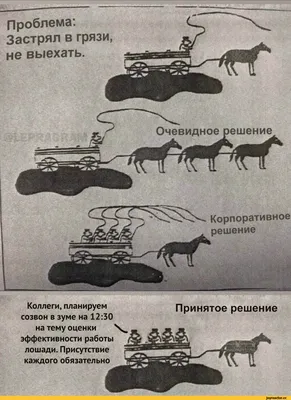 Я бы просто не выдержал конкуренции на шахтинском ТВ. Поэтому я в «Камеди  Клаб» | Нация | Дзен