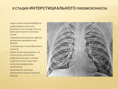 Дирофиляриоз — Текущее руководство для собак