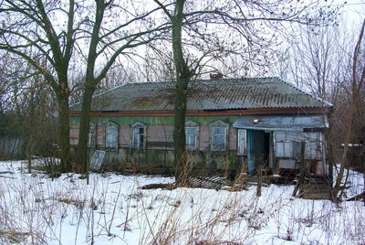 Густой хвойный лес, ночь, луна, …» — создано в Шедевруме