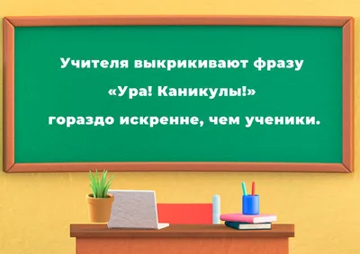 Пешком постою - юмор | приколы | мемы | анекдоты | ВКонтакте