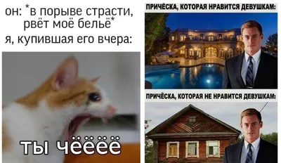 Свежие анекдоты про котов и кошек.Смешные фото. | Музыка и не только... |  Дзен