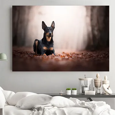 Современная Картина на холсте Doberman, настенное искусство, черная крутая  собака, фотография для гостиной, украшение для дома | AliExpress