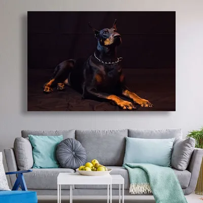 Современная Картина на холсте Doberman, настенное искусство, черная крутая  собака, фотография для гостиной, украшение для дома | AliExpress