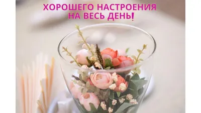 кофе :: доброе утро :: котэ (прикольные картинки с кошками) / смешные  картинки и другие приколы: комиксы, гиф анимация, видео, лучший  интеллектуальный юмор.