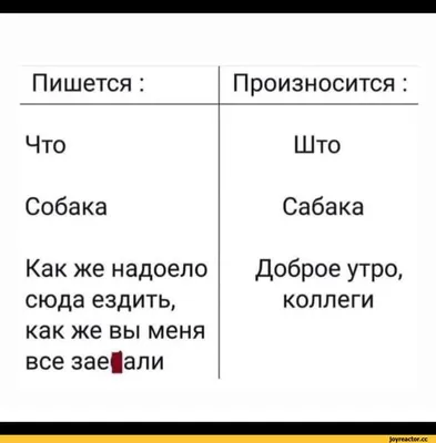 утро на работу / смешные картинки и другие приколы: комиксы, гиф анимация,  видео, лучший интеллектуальный юмор.