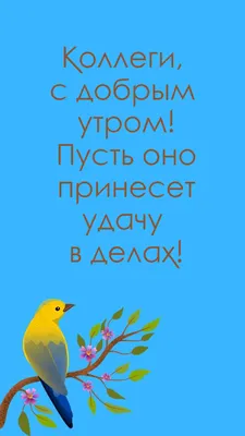 Пишется: Произносится: Что Што Собака Сабака Как же надоело Доброе утро,  сюда ездить, коллеги / грамматика :: работа / смешные картинки и другие  приколы: комиксы, гиф анимация, видео, лучший интеллектуальный юмор.