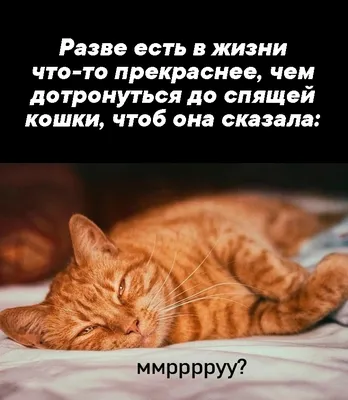 Приколы - прикольные картинки и юмор