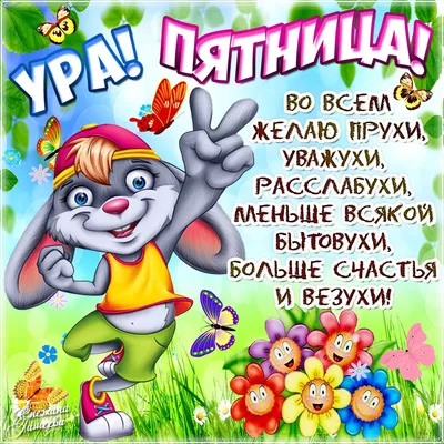 Смешные открытки \"Доброго дня!\" (235 шт.)