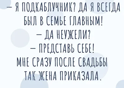 Утро кошачьей семьи, мама-кошка и …» — создано в Шедевруме