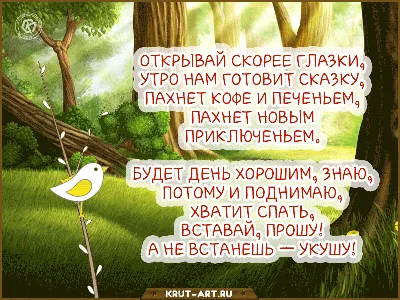 Смешная гифка с добрым утром | Доброе утро, Смешные гифки, Смешно